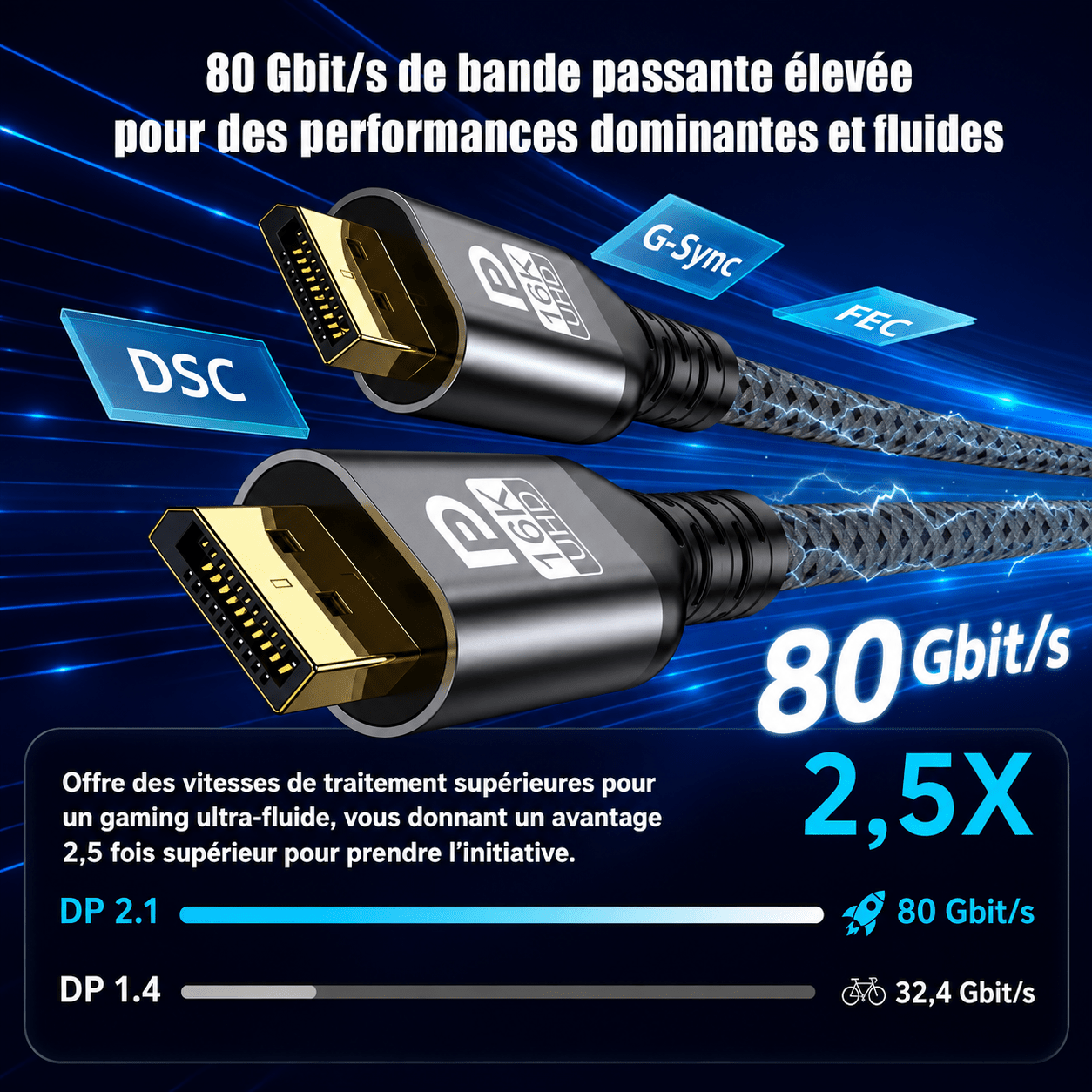 Câble DisplayPort 2.1 – Ultra Haute Vitesse